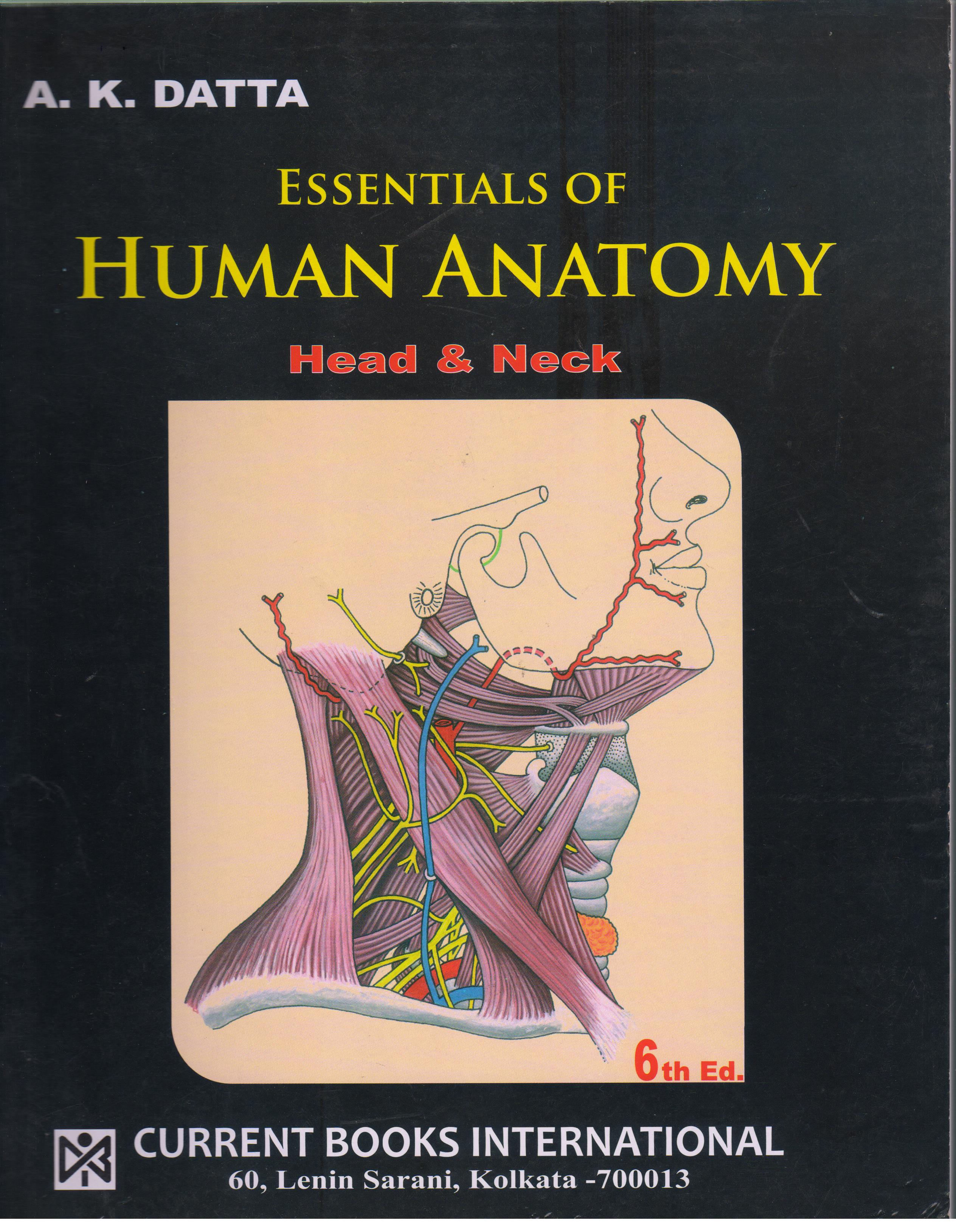 essential anatomy 2
